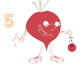 insertion des graines de fleur